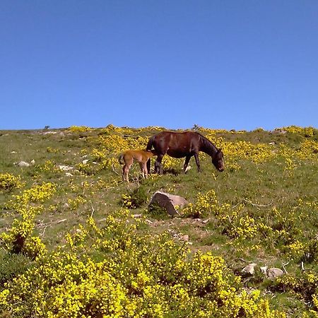 MonçãoCasa Caminho Da Ponte公寓 外观 照片
